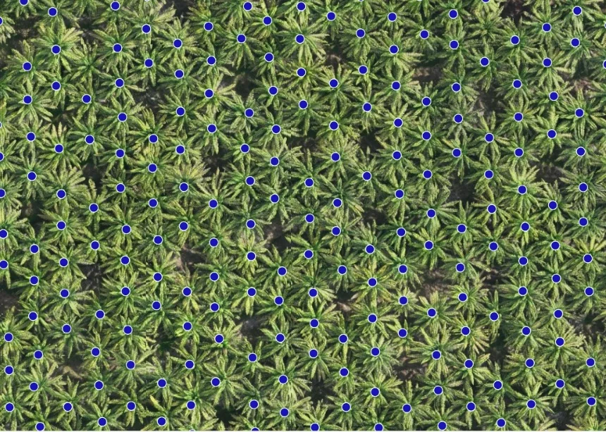 Foto del conteo de plantas